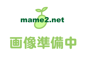 �}�~�[���b�N�^�ʎg�p�j